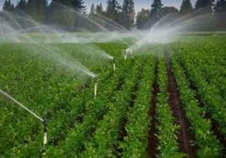 Design and implementation of drip and sprinkler irrigation system