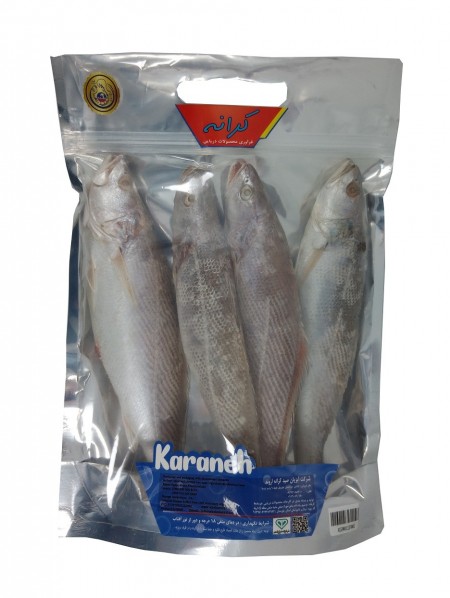 ماهی شورید 500 گرمی کرانه