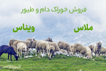 شراء دبس السکر ، بیع دبس السکر ، بیع فیناس بسعر معقول فی قزوین - طهران - أصفهان