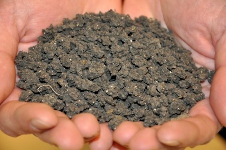 باکتری خشک (لجن خشک)