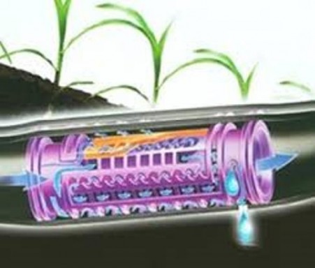 Drip irrigation pipe with drip irrigation