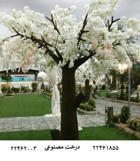 گل طبیعی و  مصنوعی