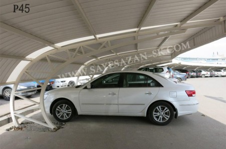 Making a cheap car canopy