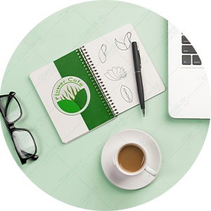 Professional logo design