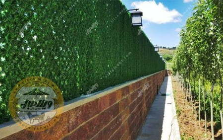 سیاج العشب والجدار الأخضر