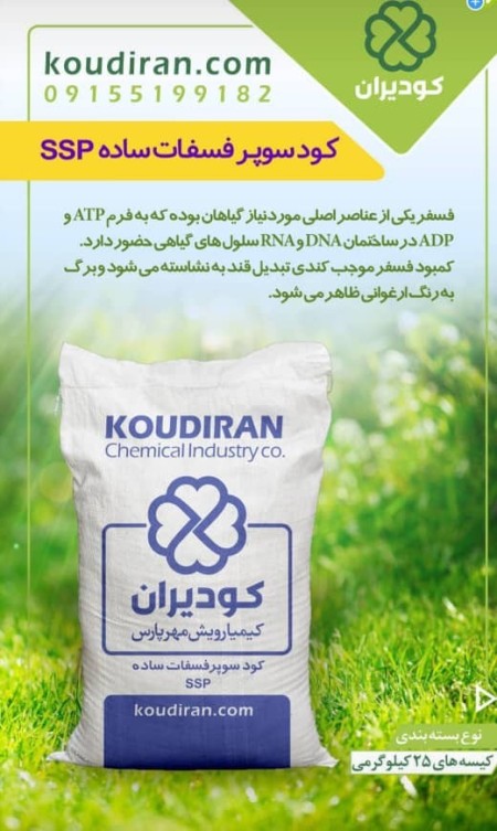 کود سوپر فسفات ساده کودیران