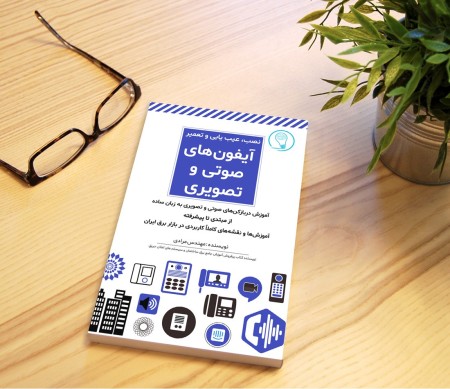 Voice and Video iPhone Training Book