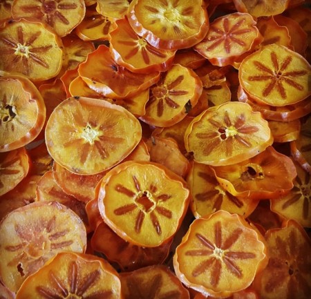 خشک کن میوه ۱۰ سینی صنعتی | برقی