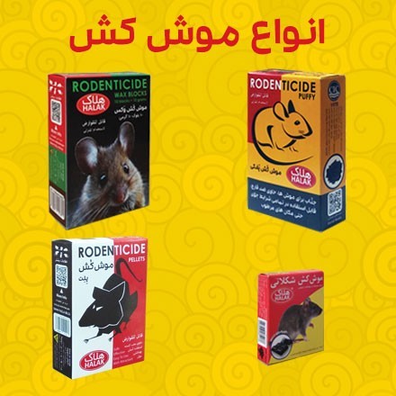 Acceptance of agency (Sam Sazan-Holak)