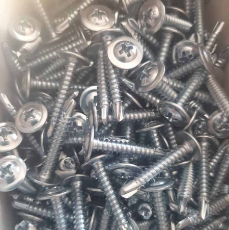 Taiwan drill head screw
