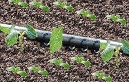 نوار آبیاری قطره ای (تیپ) (tape drip irrigation)