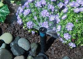 Hunter Rectangular Concealed Sprinkler Model SS