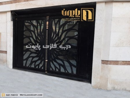 Types of metal doors and iron doors Pion