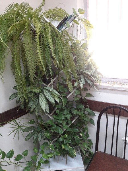 کتابخانه سبز