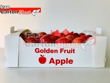 Carton Plast fruit box for sale
