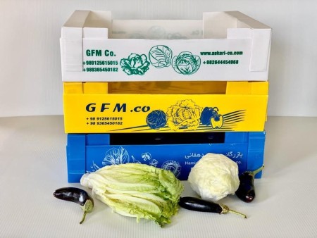 Carton Plast fruit box for sale