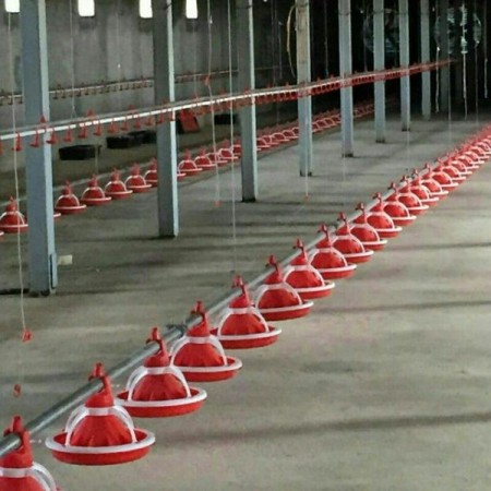 فروش عمده و تکی دانخوری بشقابی_آبخوری نیپل استیل ترک