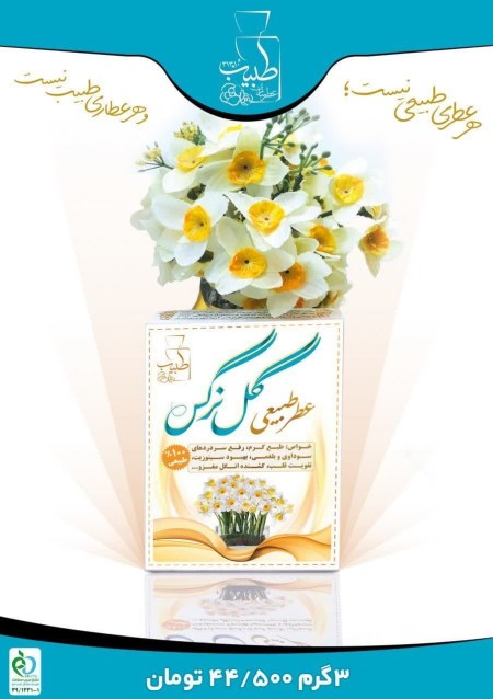 Natural perfume of daffodils