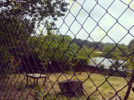 Coated fence netting, Coated fence netting, PVC coated fence netting, PVC coated fence netting