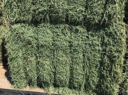 Immediate purchase of livestock, poultry and fish feed