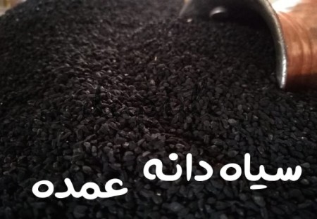 Wholesale supply of black seeds at a cheap price