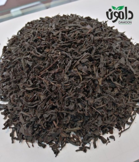 Distinguished pen tea Damon Lahijan