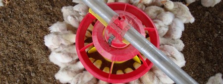 فروش عمده و تکی دانخوری بشقابی_آبخوری نیپل استیل ترک