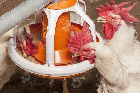 فروش عمده و تکی دانخوری بشقابی_آبخوری نیپل استیل ترک