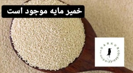 Selling all kinds of instant dry yeast