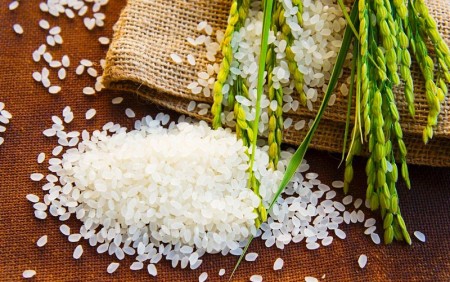 برنج فجر ممتاز