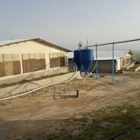 تولید کننده لوازم مرغداری، نصب وتعمیرات تجهیزات مرغداری