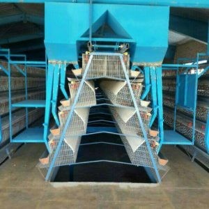 فروش جزیی و کلی قفس مرغ تخم گذار