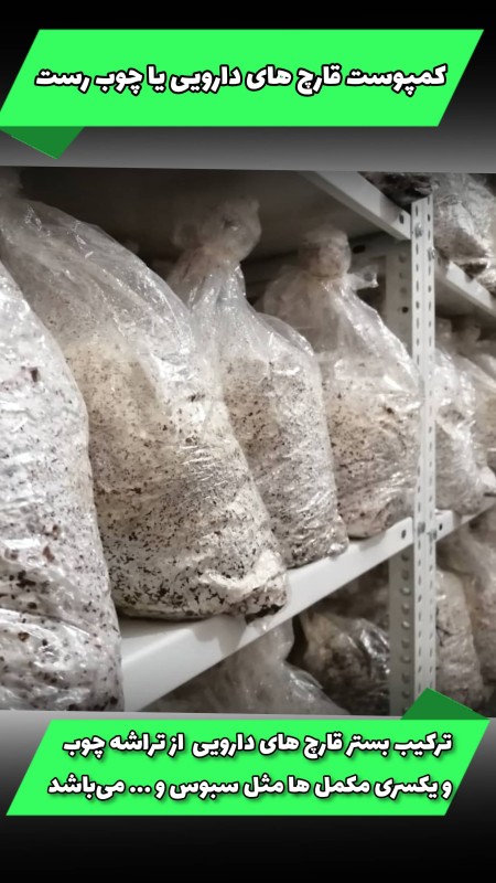 Oyster mushroom compost