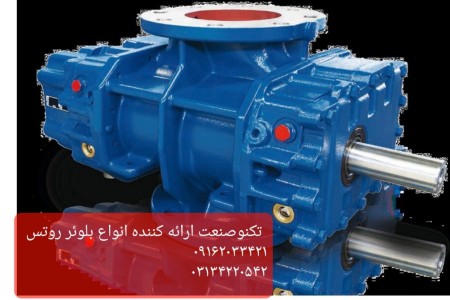 Specialized repairs of Air Roots blower