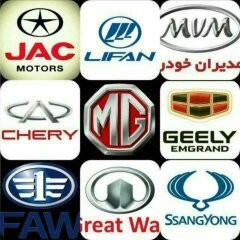 Chinese car repair service