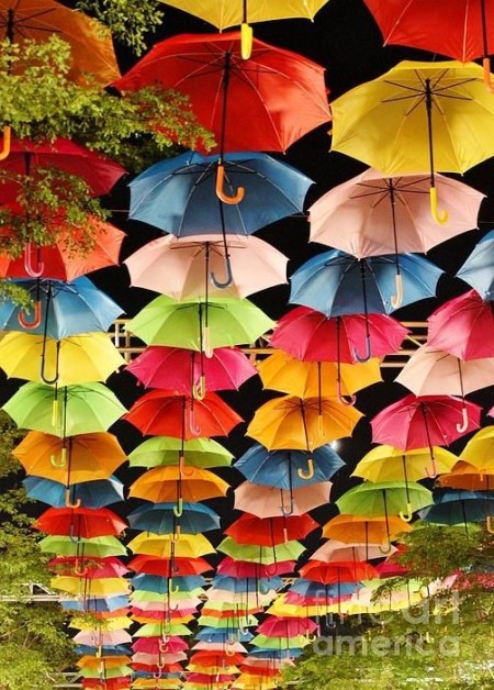 Store Customer Counter