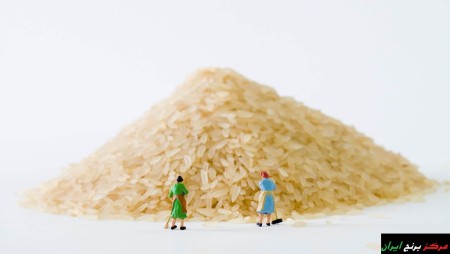 فروش برنج دودی دمسیاه درجه 2