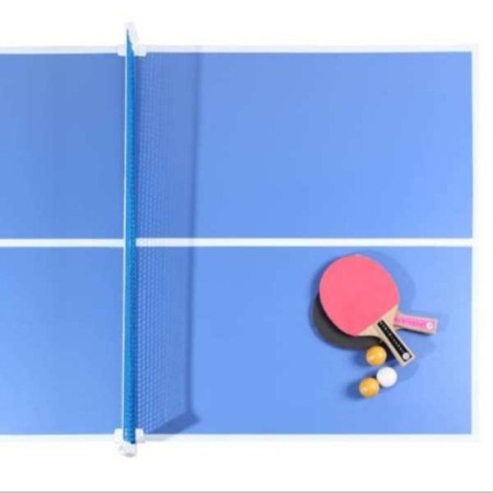 Ping pong table