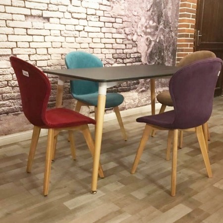 Manufacturer of dining chairs