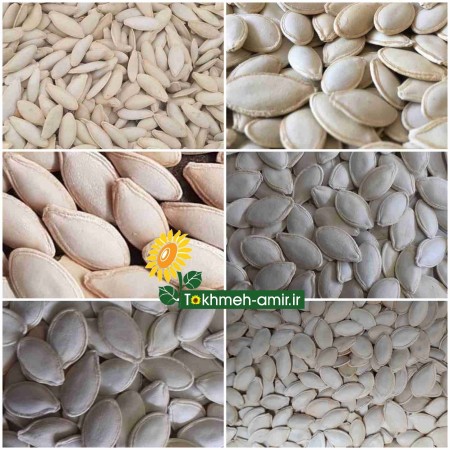Distribution of sunflower seeds and all kinds of pumpkin seeds