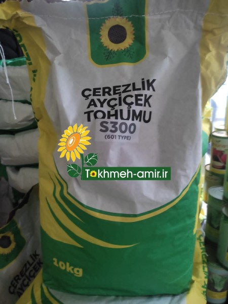 پخش بذر تخمه آفتابگردان و انواع بذر تخمه کدو