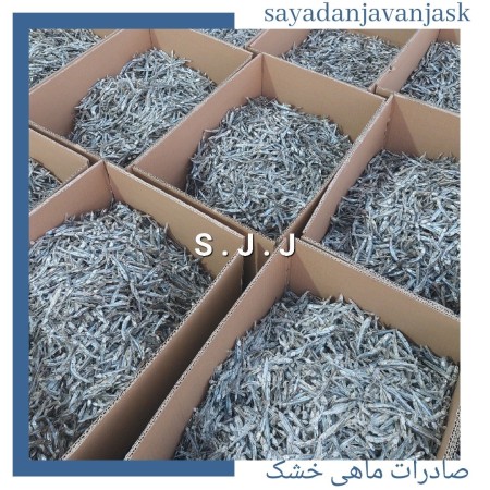 خرید پودر میگو ، پودر ماهی ، ماهی خشک