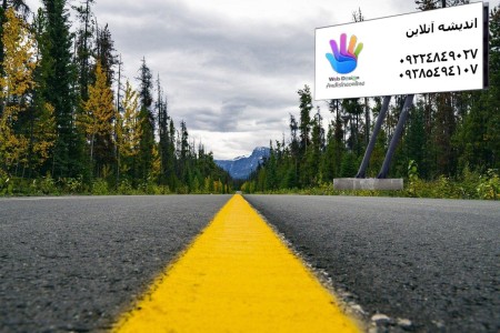 Website design and SEO training