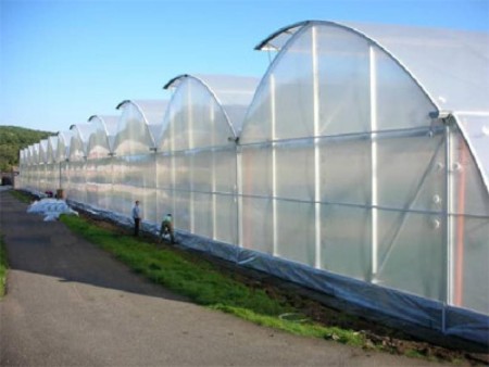 Selling greenhouse nylon