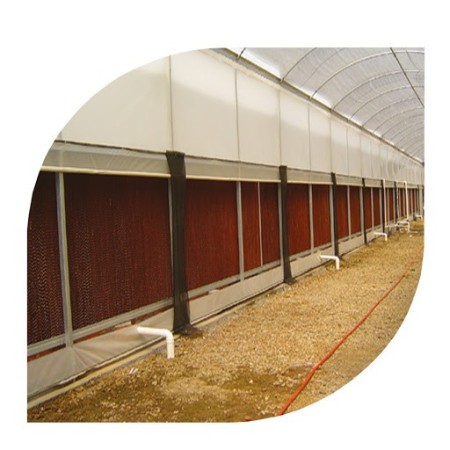 پد سلولزی گلخانه