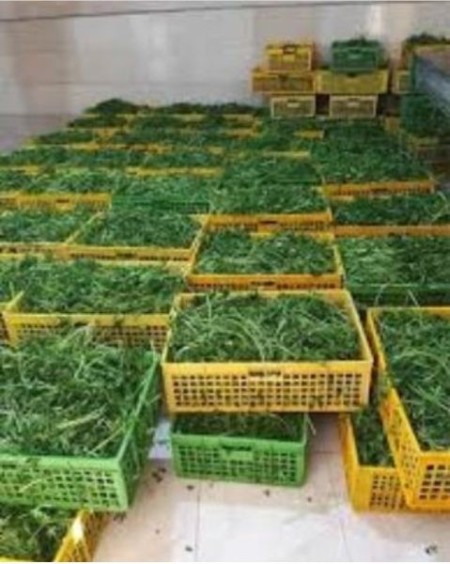 Selling ready-made vegetables, dried vegetables, stewed vegetables, stewed vegetables, pickled veget ...