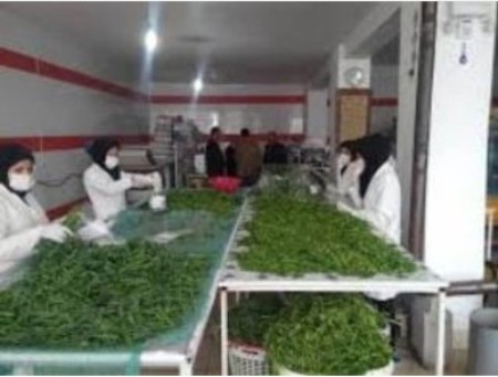 Selling ready-made vegetables, dried vegetables, stewed vegetables, stewed vegetables, pickled veget ...