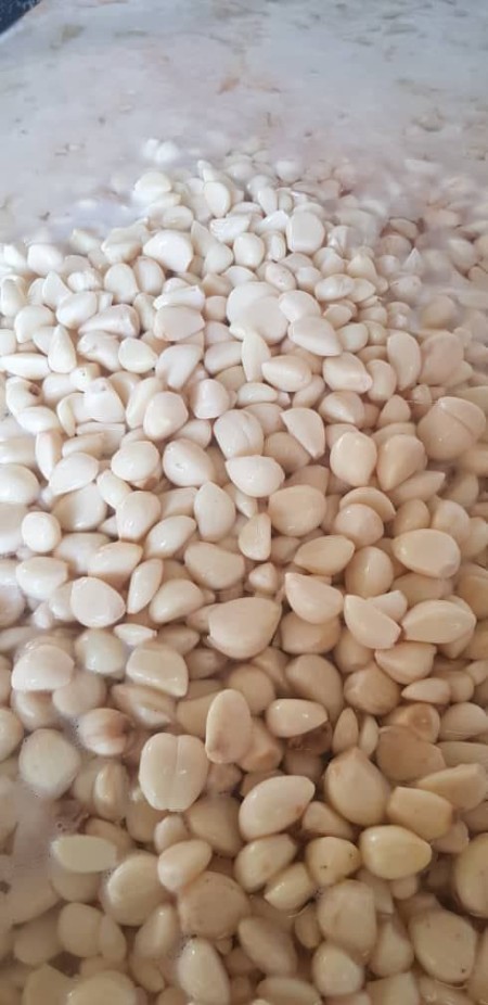 قیمت فروش عمده انواع ترشی سیر مروارید