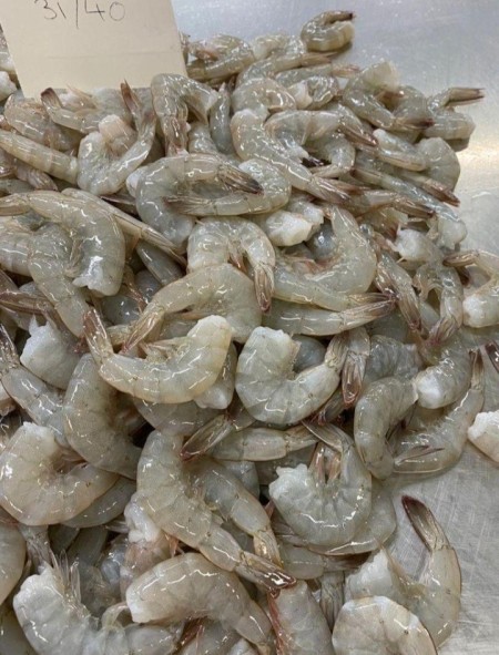 Shrimp export with the best quality