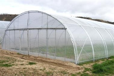Sale of bolt and nut tunnel greenhouse structures